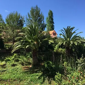  Ferienhaus Casa D'olivia Portugal